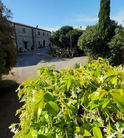 Cordovani *