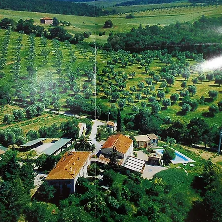 Cordovani
