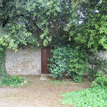 Cordovani *