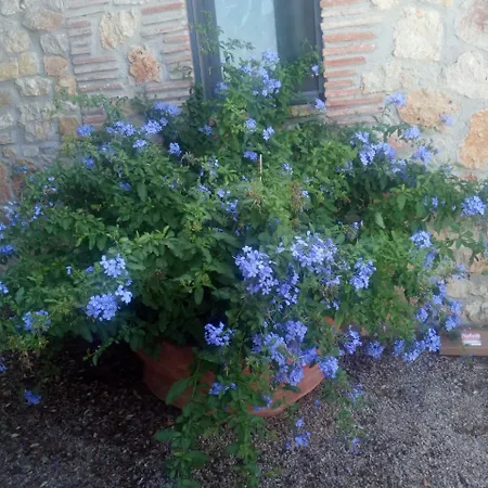 Alloggio per agriturismo Cordovani *