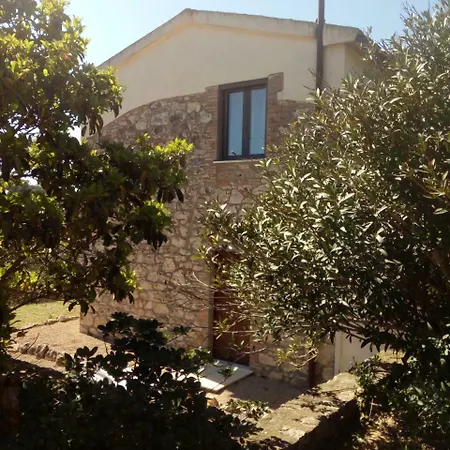 Cordovani