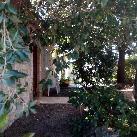 Cordovani Magliano in Toscana