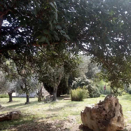 Cordovani Magliano in Toscana